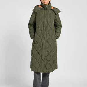 Tampon long en Oak Moss