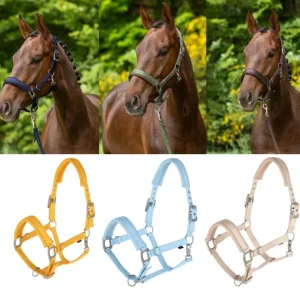 Covalliero Licol D'Ete