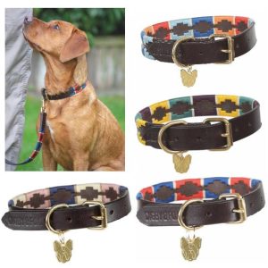 Digby & Fox Drover Collier Chien