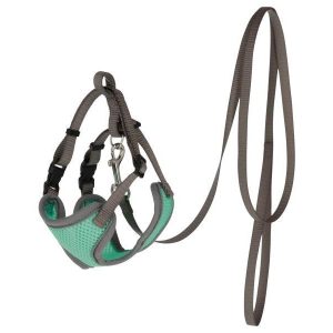 Harnais pour Chats et mini Chien avec Laisse