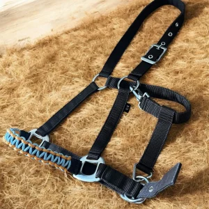 Licols Norton avec muserolles tissées à la main