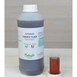 Nutragile Energie Flash